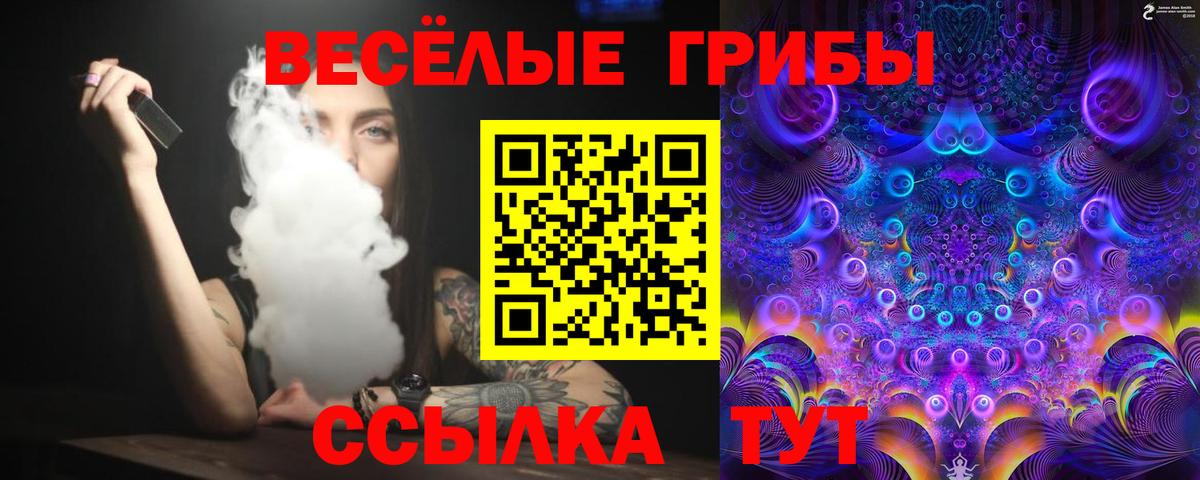 Галлюциногенные грибы MAGIC MUSHROOMS  Вход с VPN  Обь 